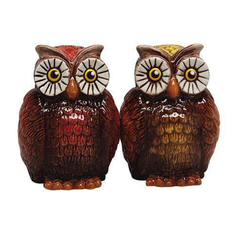 Pacific Trading Owls Ceramic Salt And Pepper Shaker Set