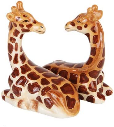 Giraffe Magnetic Salt And Pepper Shaker Set