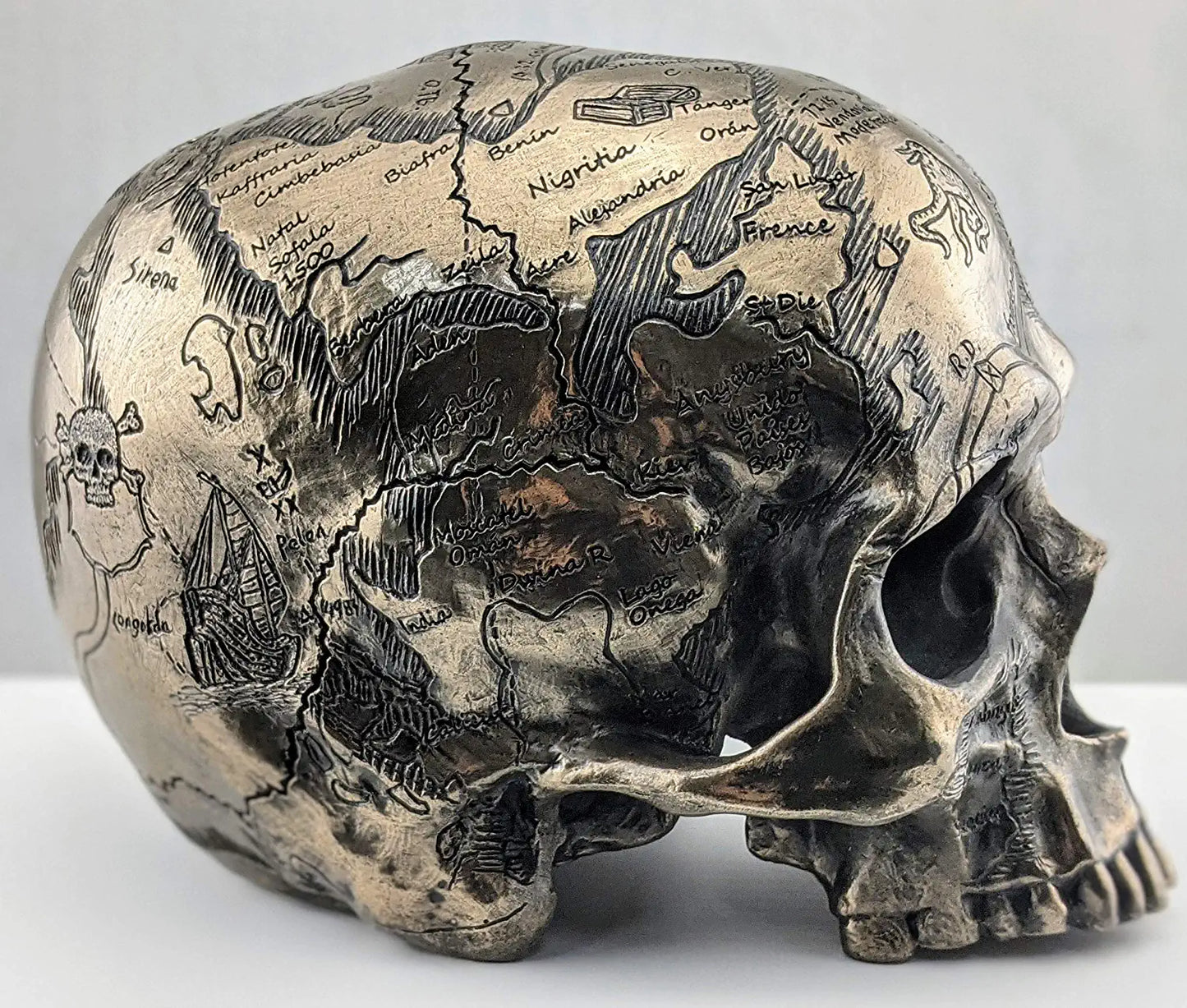 Craniumography Skull Map Statue